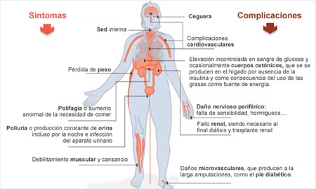 Consultorio diabetes